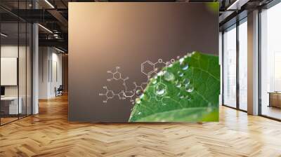 Plants background with biochemistry structure. Wall mural