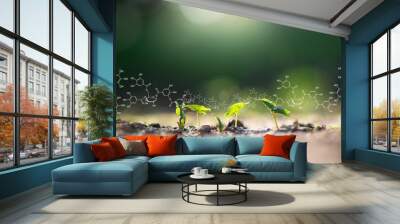 Plants background with biochemistry structure. Wall mural