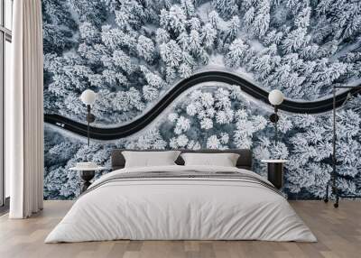 Driving in forest after snowfall, aerial drone view Wall mural