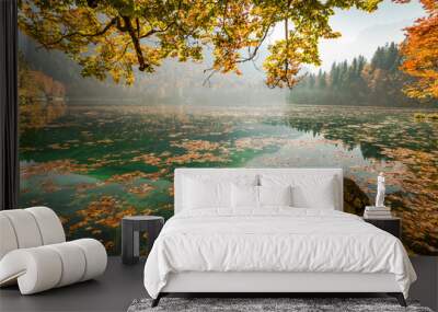 Sunny day at lake in autumn Wall mural