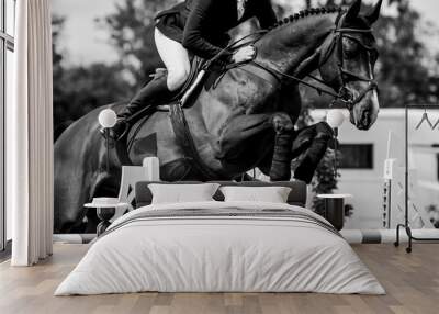 Horse Jumping, Equestrian Sports, Show Jumping themed photo. Wall mural