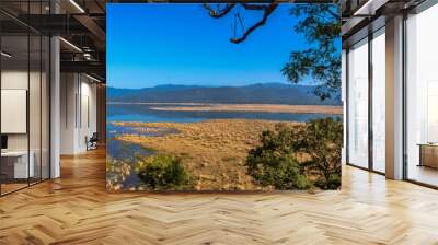 Panorama of Kosi River in Jim Corbett National Park, India Wall mural