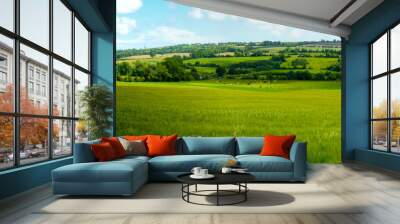 Scenic panoramic view of rolling countryside green farm fields with sheep, cow  and green grass in New Grange, County Meath Wall mural