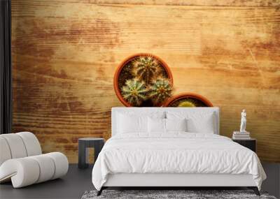 two cacti on a wooden table, cacti, succulents, flowers, plant, desert Wall mural