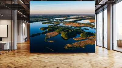 Lakes/ponds, Bird's natural reserve in southern Poland. Milicz, Barycz Valley Landscape Park. Wall mural