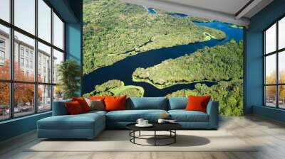 Amazon rainforest seen from above reveals the beauty of its rivers, trees and animals. Pará, Brazil Wall mural