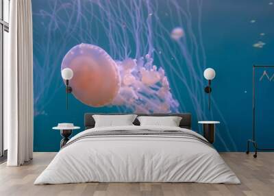 amazing illuminated Jellyfish moving through the water swimming Wall mural