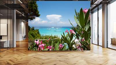 Rocky beach scene with turquoise waters of the Mediterranean Sea, boats anchored in the bay and pink flowers in the foreground, on the island of Antipaxos in Greece. Selective focus Wall mural