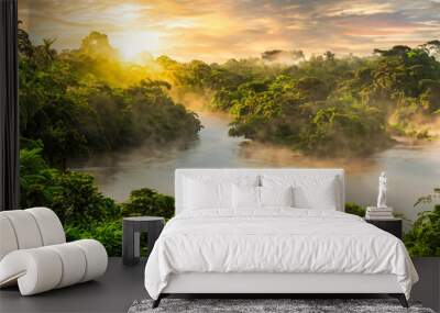 beautiful amazon river with white mist Wall mural