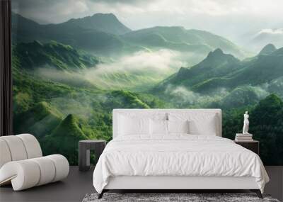 Beautiful landscape of mountains in the Amazon with fog at dawn in high resolution and quality. nature, environment concept Wall mural