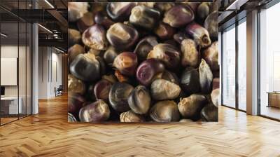 Detail of Mexican blue corn, the grains are distinguished and underneath in the background a stone. Wall mural