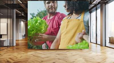 Diverse people growing cultivating food at local urban farm. Man picking organic lettuce and giving to female friend holding basket of green lettuces Wall mural