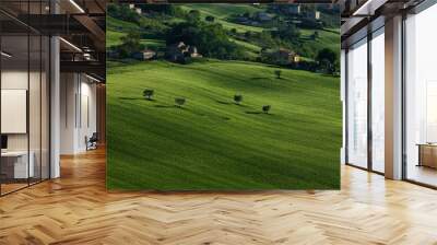 Landscapes of Marche , Italy: countryside. Wall mural