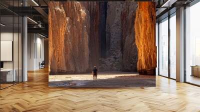 man with his back under some rocky mountain walls with a ray of sun coming in Wall mural