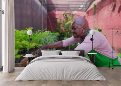 One black senior woman putting plant basket back to shelf in backyard garden. An African American older lady wearing green apron working in horticulture store. Local Business concept Wall mural