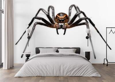 Spider isolated on transparent PNG background Wall mural