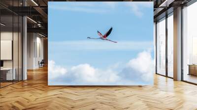 A beautiful pink flamingo in flight against the blue sky with white clouds Wall mural