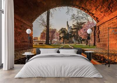 Tunnel with track at sunset with park on the bank of the river in Frankfurt. Skyscrapers from the financial center in the background. Meadow and trees with blossoms for spring Wall mural