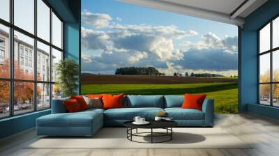 green field and blue sky Wall mural