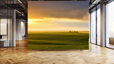 hazy rural evening landscape with golden light and grey hills in the background and field with fresh green in foreground Wall mural