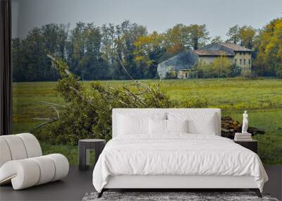 Fallen tree with abandoned house in background Wall mural