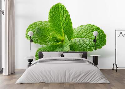 Mint leaf. Fresh mint on white background. Mint leaves isolated. Full depth of field. Wall mural