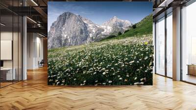 i panorami di prati di tivo, versante teramano del gran sasso d'italia. con vista sui due corni Wall mural