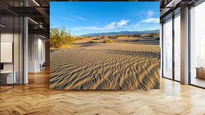 Desert Landscapes Death Valley Wall mural