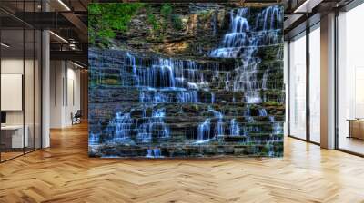 albion falls waterfall water rocks Wall mural