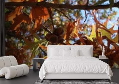 autumn 2 Wall mural