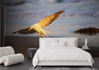 a breathtaking shot of a seagull in flight at the beach near the ocean at sunset at El Matador beach in Malibu California Wall mural