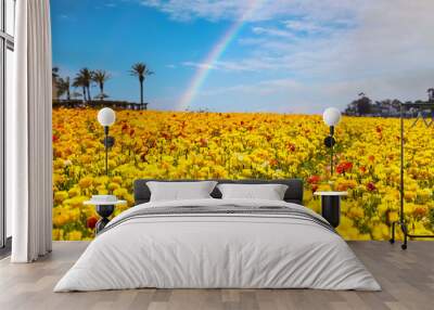 a field filled with rows of yellow flowers with lush green leaves and stems with palm trees and blue sky with a rainbow at The Flower Fields in Carlsbad California	 Wall mural