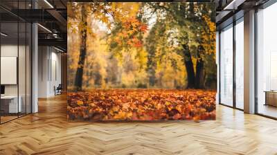 Autumn leaves in yellow and red colors  fall foliage  nature background    Wall mural