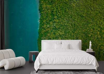 Overhead aerial view of Cancun jungle and river in Punta Nizuc Wall mural