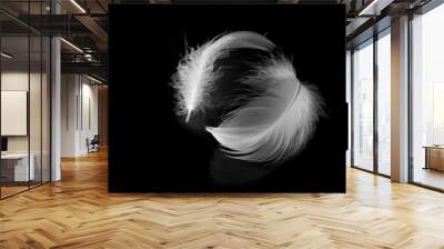 white feathers on black background Wall mural