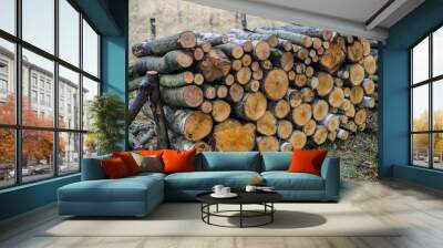 Pile of wood Wall mural