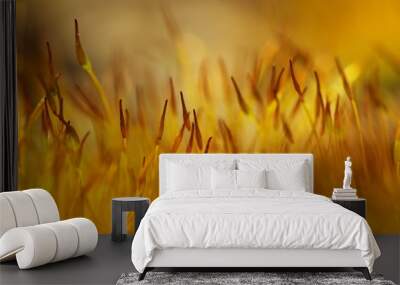 Yellow moss detail wide Wall mural