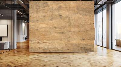 buckskin amate bark paper texture Wall mural