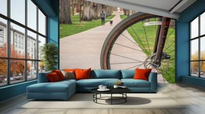 man walking with a dog in old American elm trees alley as seen through a bike front wheel, commuting concept Wall mural