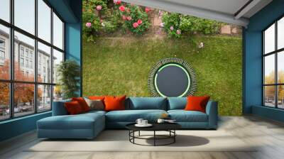 mini trampoline for fitness exercising and rebounding in a backyard, aerial view in summer Wall mural