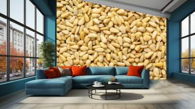 pine nuts background Wall mural