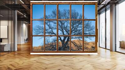 tree silhouette at Colorado foothills - window view Wall mural