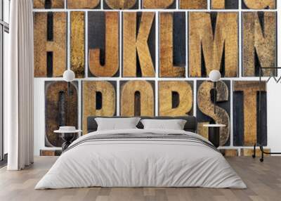 vintage wood type alphabet Wall mural