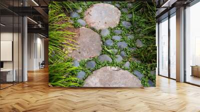 Walk path with stepping stones and vegetation, garden landscape design in Japanese style Wall mural