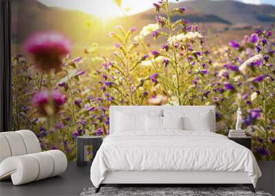 Wild flowers field in sunlight in summer Wall mural