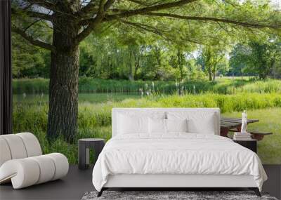 A red picnic table under a pine tree along a quiet pond in the summer. Wall mural