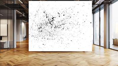 Black paint splatter isolated on white background. Water splash silhouette vector texture overlay. Wall mural