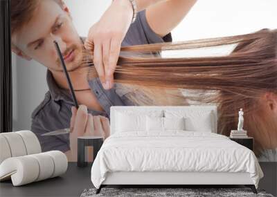 Professional hairdresser with long hair model, isolated on white Wall mural