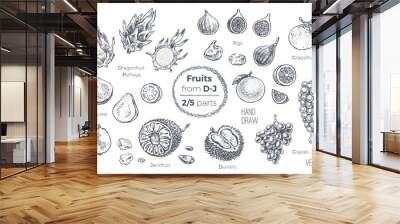 Fruits hand drawn sketch icons set. Organic food Wall mural