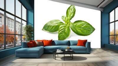 Fresh basil leaves Wall mural